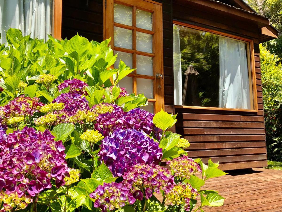 Cabanas Monte Verde Пукон Экстерьер фото